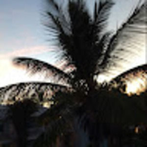 Meet your Posher, Jody